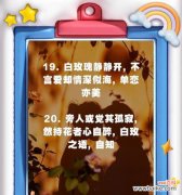 白玫瑰盛开时的花语是什么？