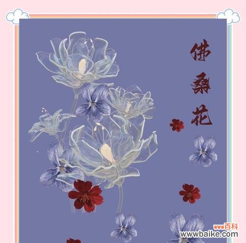 哪种花的花语象征着坚强和勇敢？它有何特别之处？