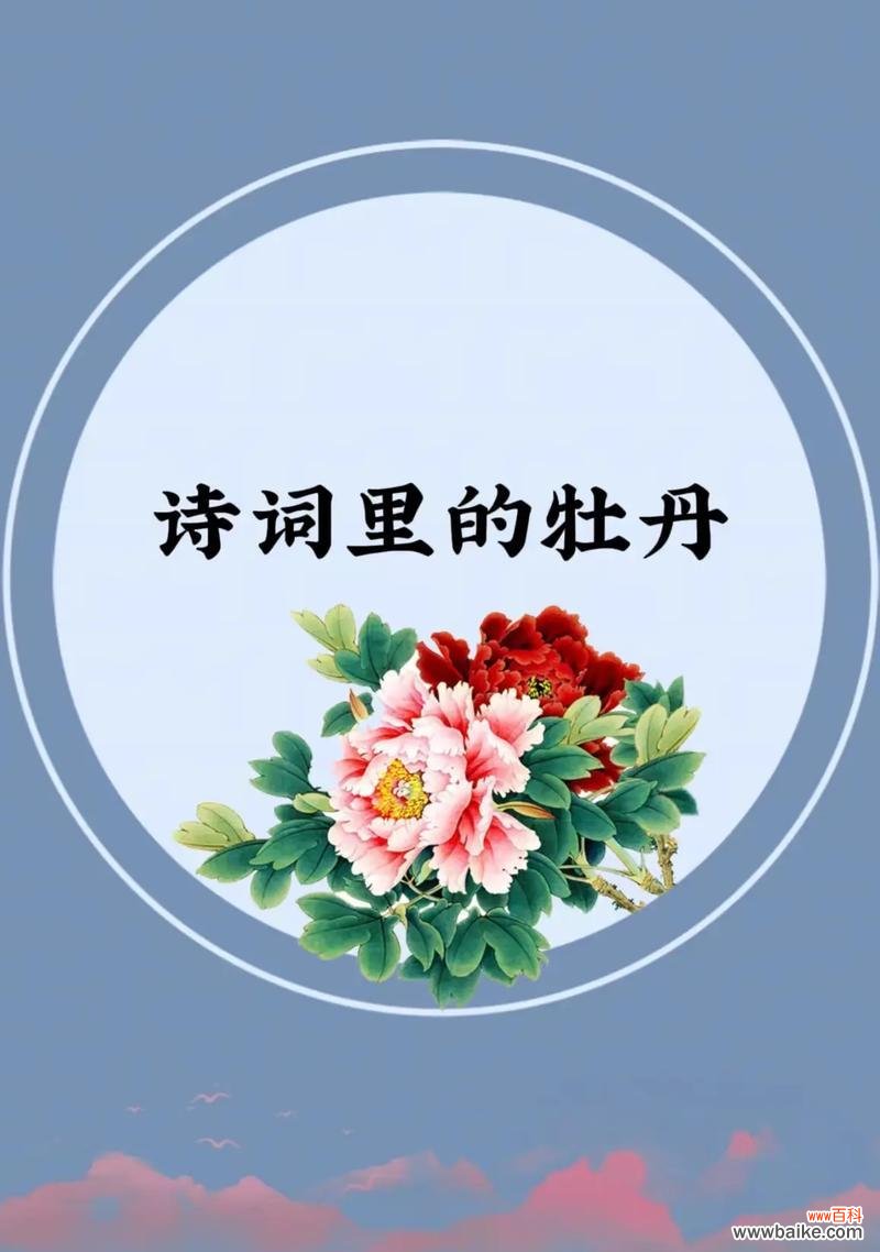 仙气牡丹的花语有何寓意?如何用在特殊场合?