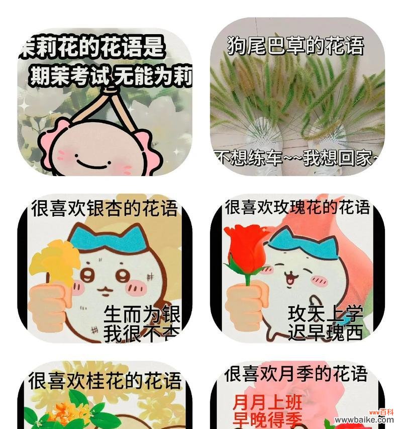 你希望听到什么样的花语?