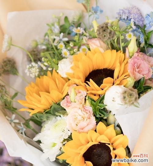 你希望听到什么样的花语?