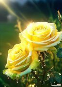 哪种花的花语代表再见？它象征着什么？