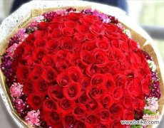 探索不同种类玫瑰花的含义 玫瑰花的意义与象征