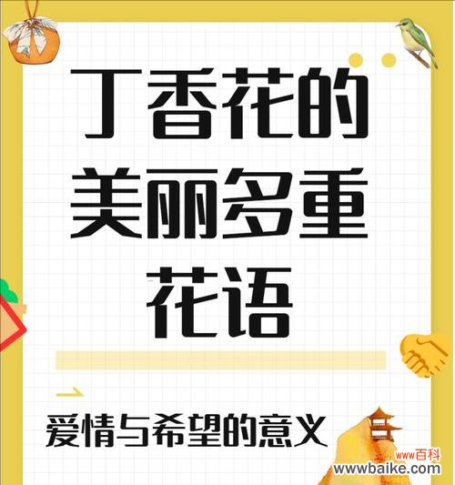 手工花的花语有哪些含义？它传递了哪些情感？