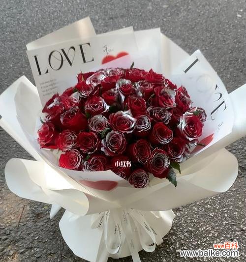 川崎极光的花语寓意是什么？它代表了怎样的情感？