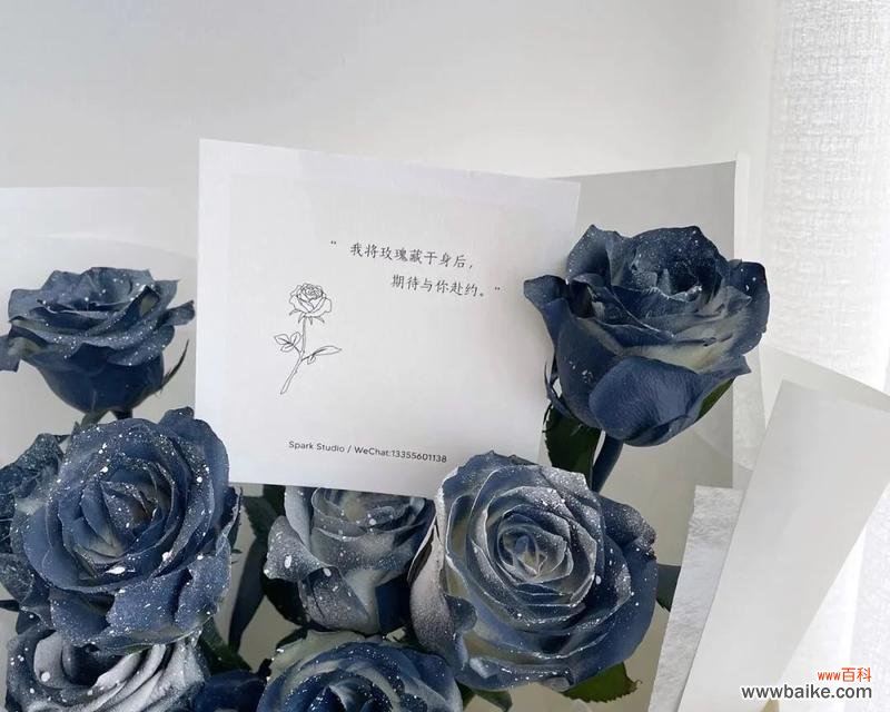 川崎极光的花语寓意是什么？它代表了怎样的情感？