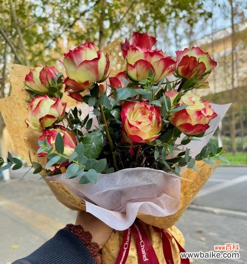 约会见面送什么花合适？花语如何表达情感？