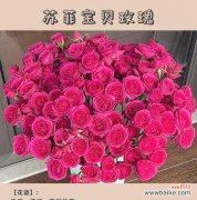 约会见面送什么花合适？花语如何表达情感？