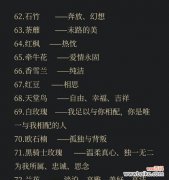 花语搭配大全中哪些花寓意最特别？