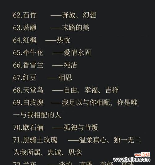 花语搭配大全中哪些花寓意最特别？