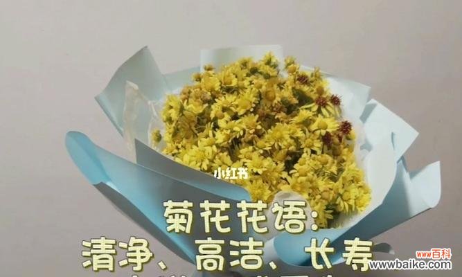 皱菊花的花语——预示着繁荣与富贵 皱菊花的花语与寓意