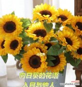 虎竹的寓意和花语是什么？它在植物界中象征着什么？