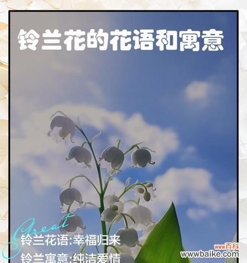 复制春天的花语有何含义？春天的花语代表了什么？