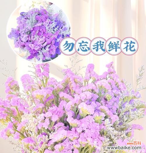 哪种花代表着永恒的记忆？