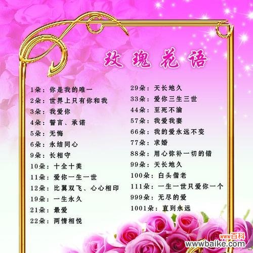 探寻九星蓝狐玫瑰的神秘面纱 九星蓝狐玫瑰的花语与寓意