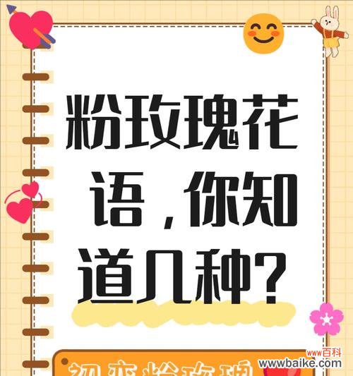哪种玫瑰代表永恒不散的花语?