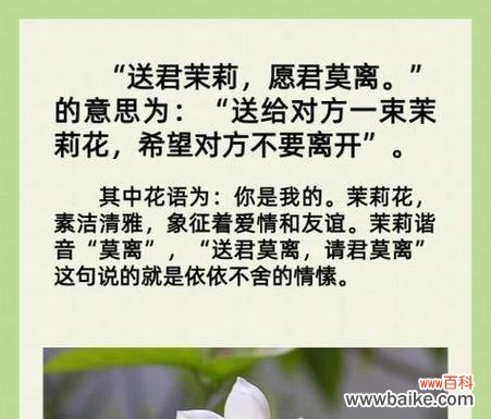 朋友的花花语是什么?如何通过花语表达友情?