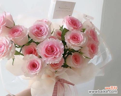 15朵玫瑰花代表的寓意是什么?