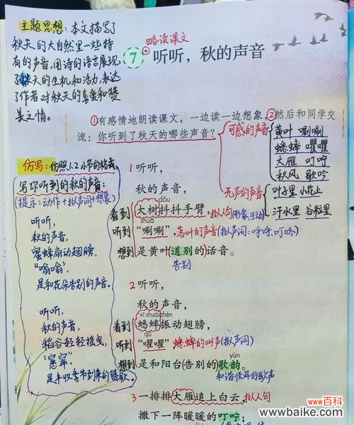 悠悠花语谁能读懂她什么意思?悠悠花语代表了什么情感?