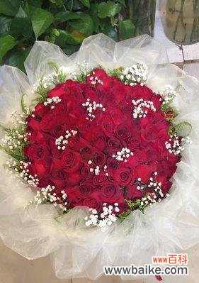 唤起激情与承诺,用卡罗拉红玫瑰传递真挚的情感 卡罗拉红玫瑰花语