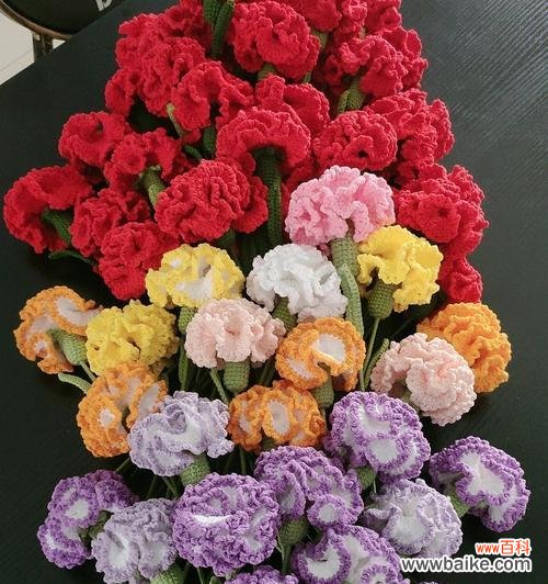 传递爱与感激的美丽象征——康乃馨花 康乃馨花的含义与象征