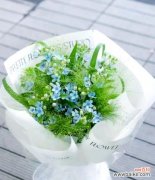 蓝星花的花语含义和象征是什么？它传递了哪些信息？