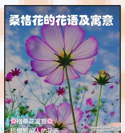 想听离别的花语是什么?离别时哪种花最能表达情感?