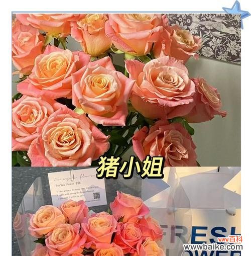 哪些小众花语既常见又浪漫?