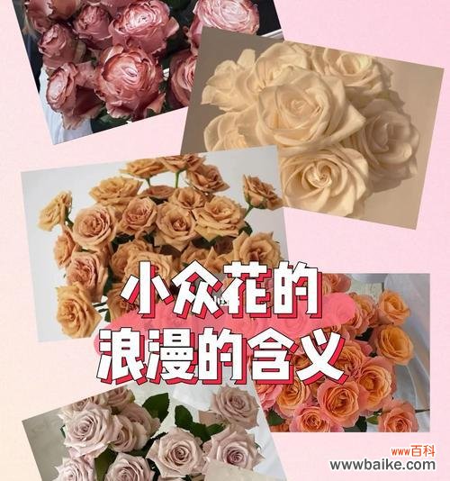 哪些小众花语既常见又浪漫?