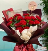 康乃馨——爱情与坚强的象征 康乃馨的象征意义及传承之美