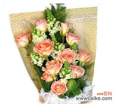 王艳芍药的花语有何特别之处?它代表了什么?