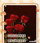 33朵粉玫瑰代表什么意义？