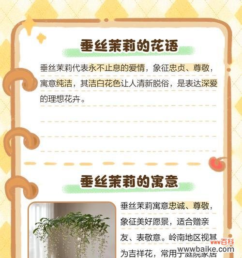 花语绵绵的含义是什么?花语绵绵代表什么?