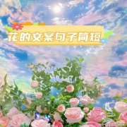 花语绵绵的含义是什么？花语绵绵代表什么？