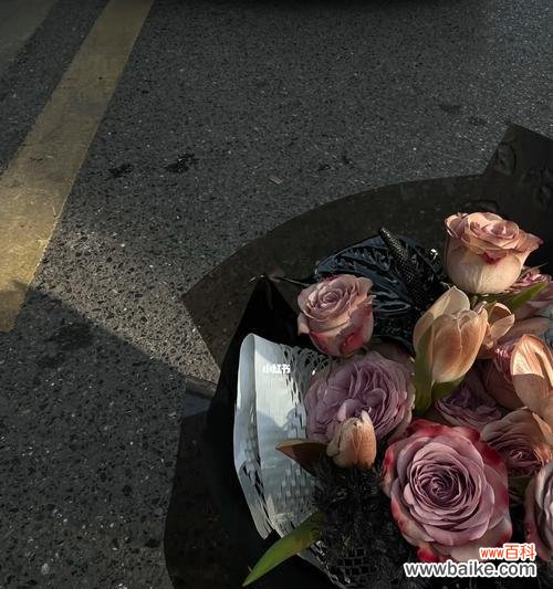 黑色大玫瑰在情人节代表什么?它有何特别含义?