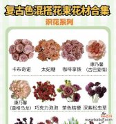 体贴温柔的花语是什么？哪种花代表体贴温柔？