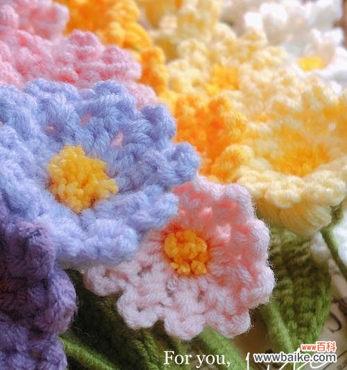 纯牛奶的花语是什么？它象征着什么？