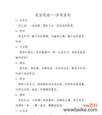 多肉植物仙子的花语有何深意？