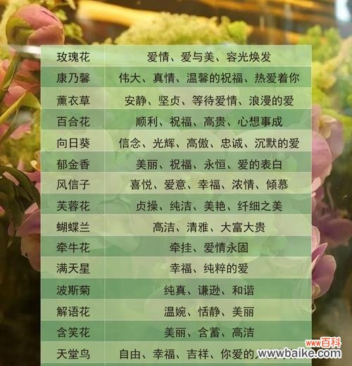 未知的花语是什么?它代表了怎样的情感或信息?