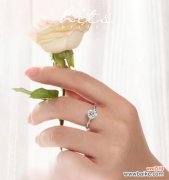 手持钻戒玫瑰，其花语预示着什么？