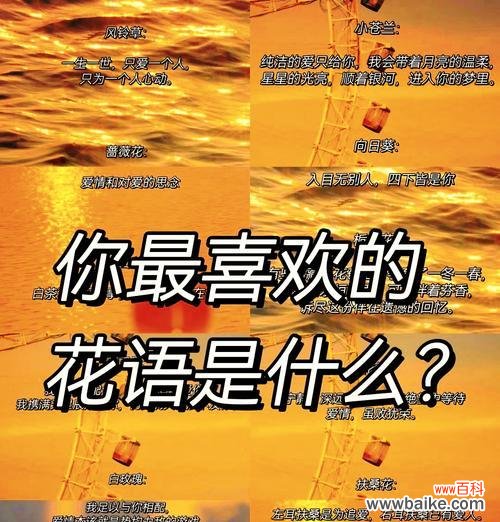 适合作名称的花语是什么意思?适合作名称的花语代表什么?