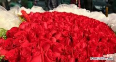 玫瑰传递的浪漫和真情 花语19朵玫瑰的深刻含义