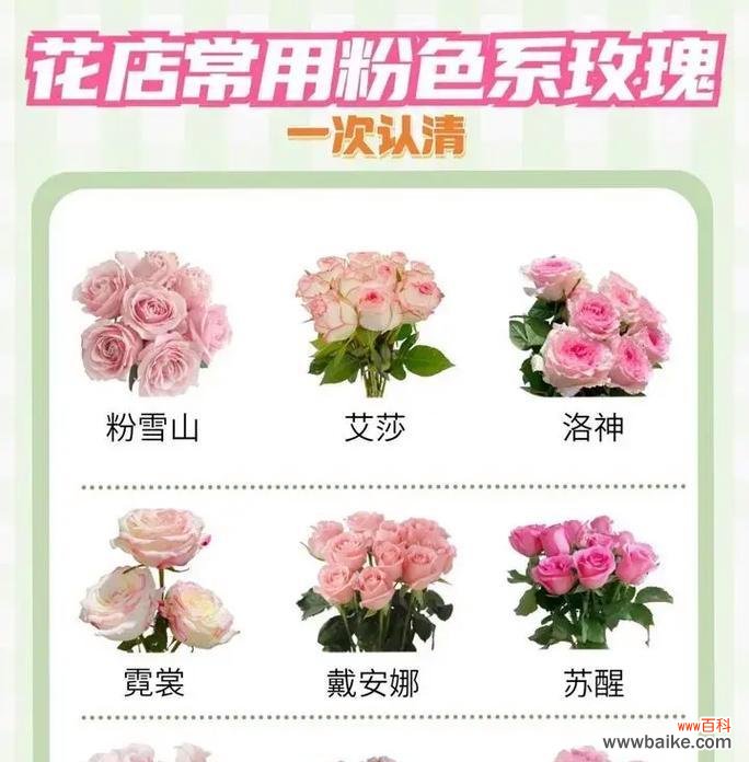 樱花中玫瑰的含义是什么？樱花与玫瑰花语有何不同？