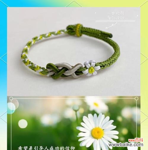 雏菊花语都有什么?雏菊代表的含义有哪些?