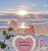 花语所念皆如愿什么意思？这句花语有何深意？