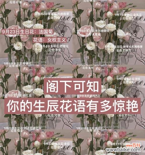 生日测花语有何意义？如何根据生日选择花语？