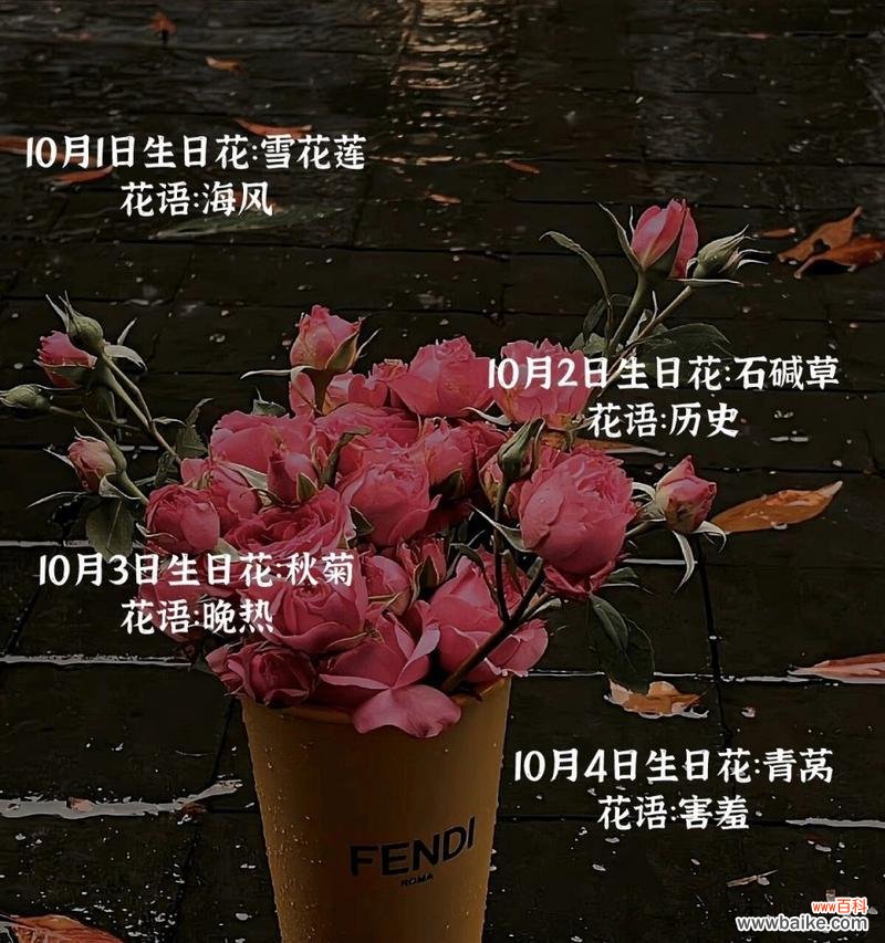 生日测花语有何意义？如何根据生日选择花语？