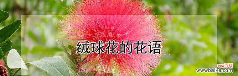 揭开花语的神秘面纱,探索花朵背后的寓意 花语品种的世界探秘