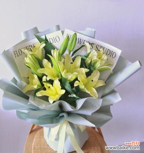 花开如黄金 黄百合的花语与意义