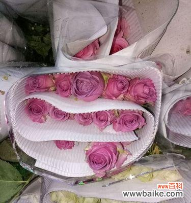 探索玫瑰花冷美人的深层寓意和象征意义 冷美人玫瑰的寓意